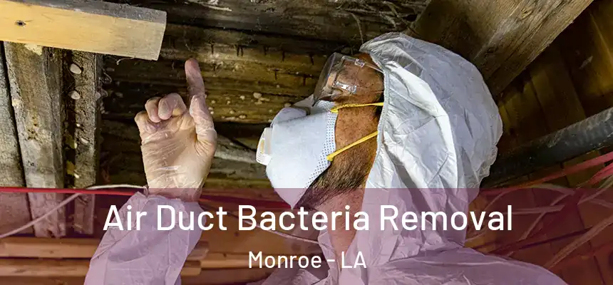  Air Duct Bacteria Removal Monroe - LA
