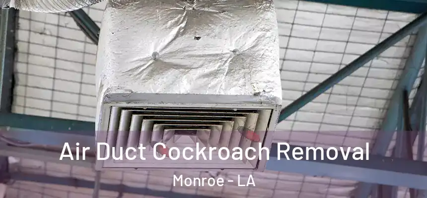 Air Duct Cockroach Removal Monroe - LA