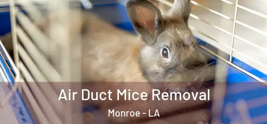 Air Duct Mice Removal Monroe - LA