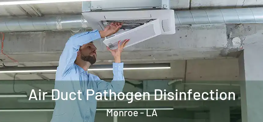 Air Duct Pathogen Disinfection Monroe - LA
