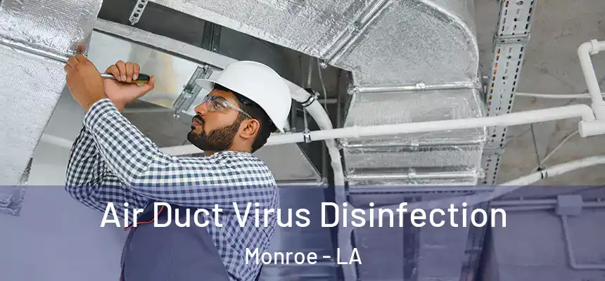 Air Duct Virus Disinfection Monroe - LA