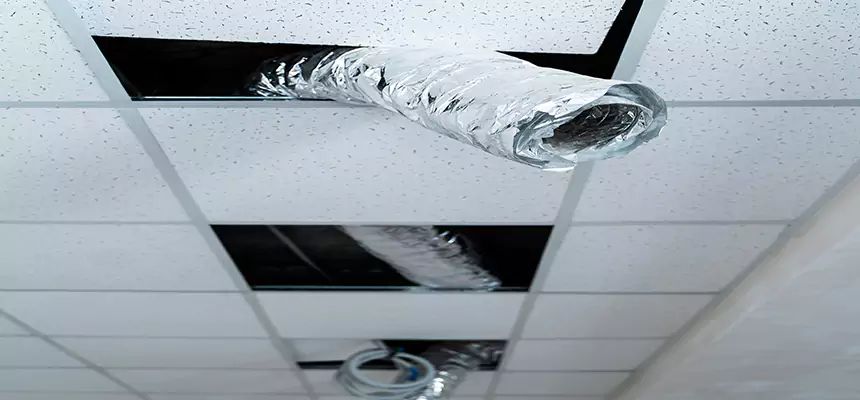 Our Air Duct Pet Hair Removal Services in Monroe, LA