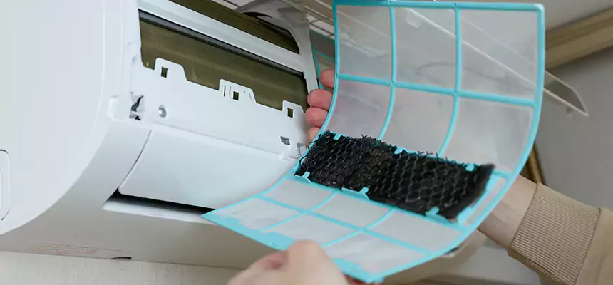 Gentle Ductwork Odor-Control Pet Dander Duct Cleaning in Monroe, LA