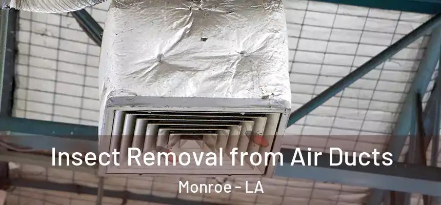Insect Removal from Air Ducts Monroe - LA