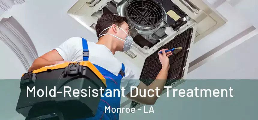  Mold-Resistant Duct Treatment Monroe - LA