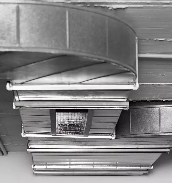 Professional Air Duct Pet Hair Removal in Monroe, LA