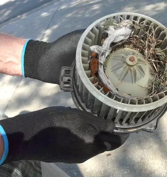 About Air Duct Rat Removal in Monroe, LA