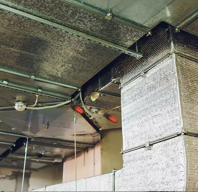 Why Homeowners & Businesses Trust Us in Monroe, LA?