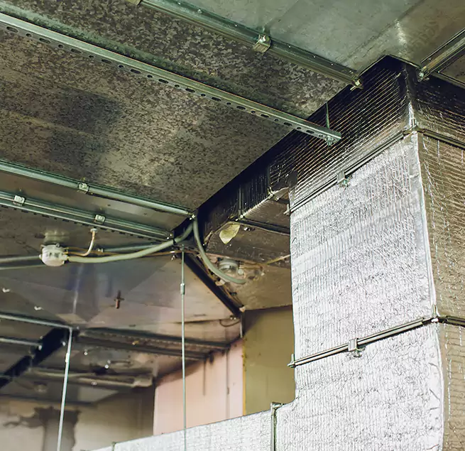 Why Homeowners & Businesses Trust Us in Monroe, LA?